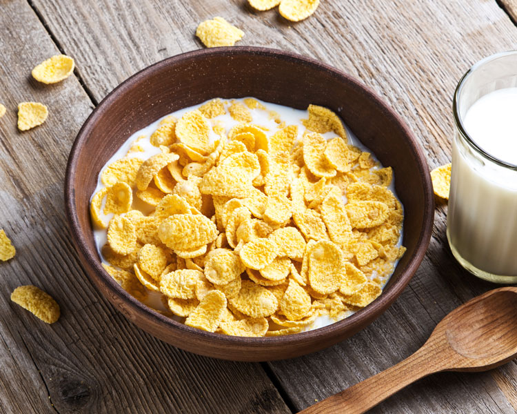 cereal grain bowl