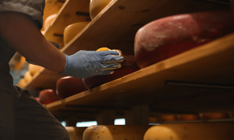 artisan cheesemakers
