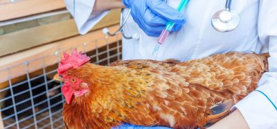 vaccinations have improved animal health