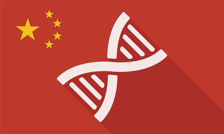 china gmo