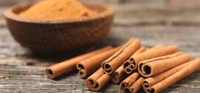 The spicy truth: uncovering cinnamon food fraud in the EU market. EFF-CoP