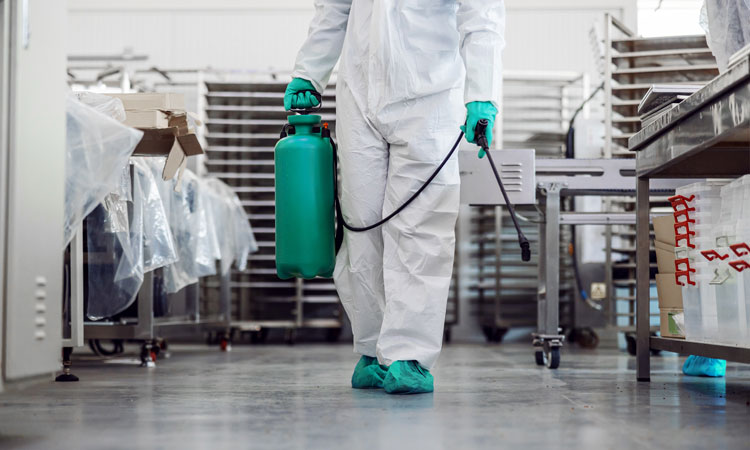 cleaning in food factory