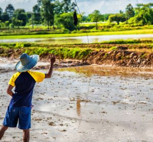 climate-change-crop-yields