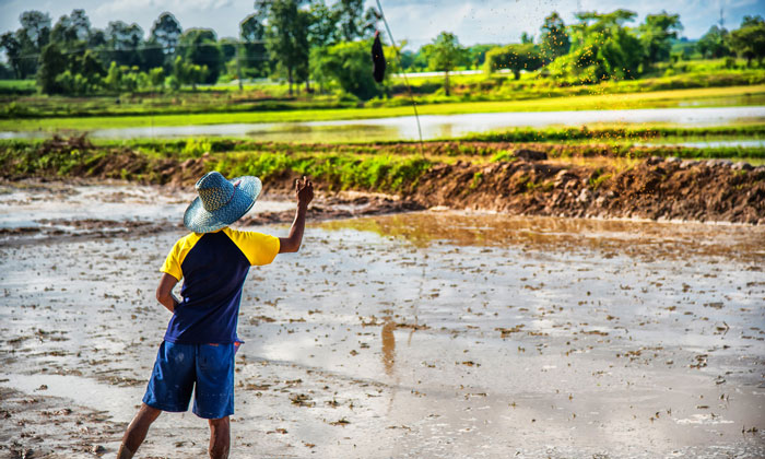 climate-change-crop-yields