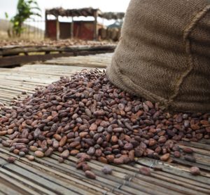 Cargill leverages technology to improve cocoa transparency