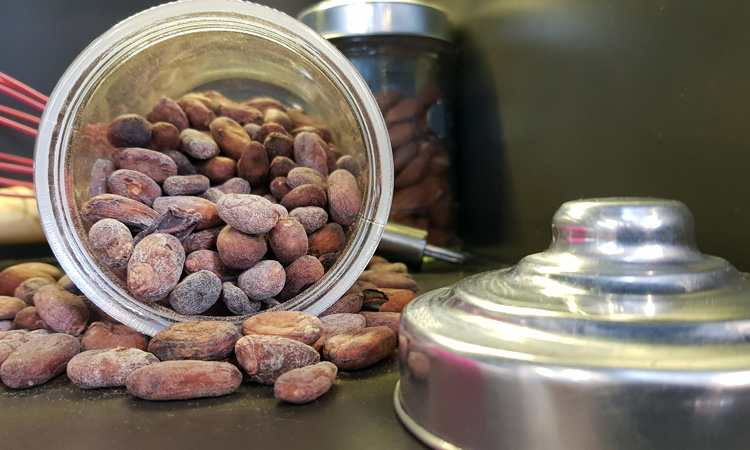 Bioactive compound test for cocoa products given the green light