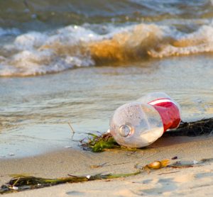 Organisation claims Coca-Cola is misleading about 'single-use' plastic