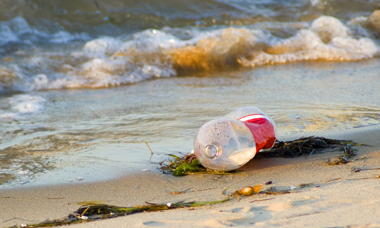 Organisation claims Coca-Cola is misleading about 'single-use' plastic