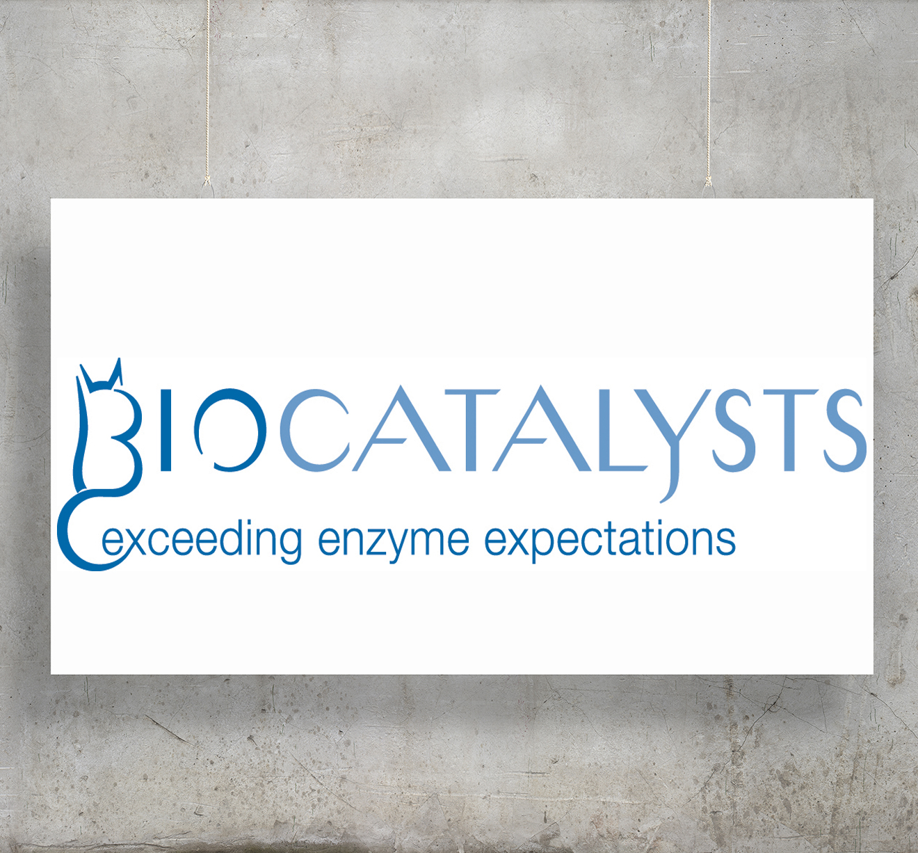 Biocatalysts Ltd.