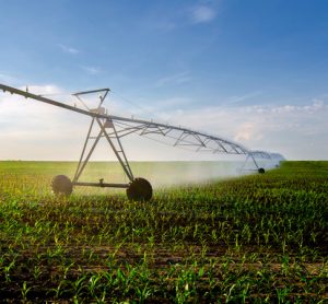 New satellite-based algorithm pinpoints crop water use and management