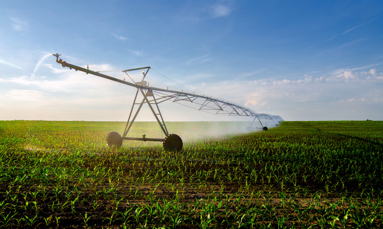New satellite-based algorithm pinpoints crop water use and management