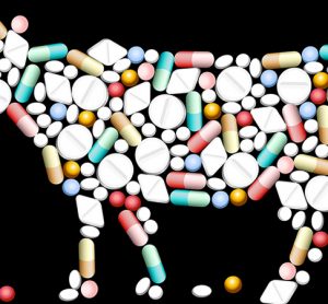 Report shows most fast food chains continue overuse of antibiotics in beef