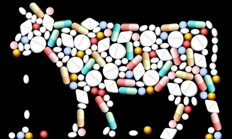 Report shows most fast food chains continue overuse of antibiotics in beef