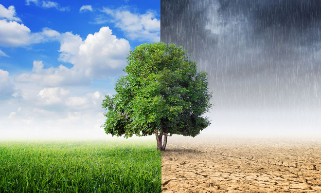 crop-yields-birmingham-agriculture-climate-change