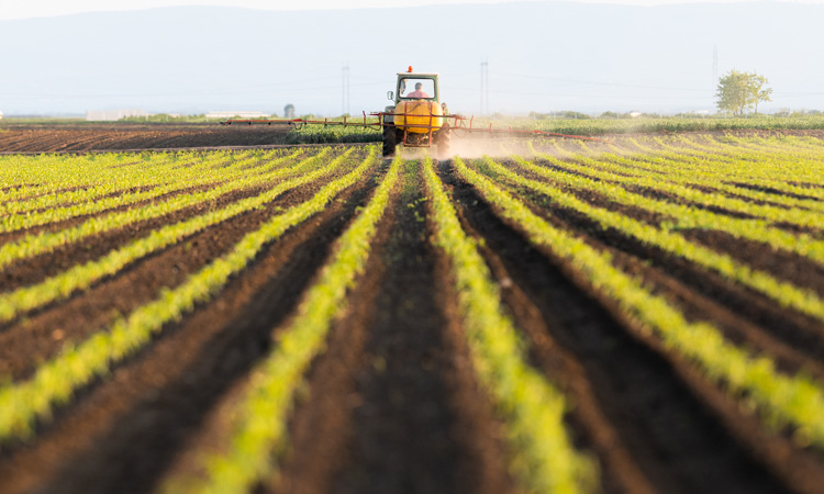 Agriculture replaces fossil fuels as largest human source of sulphur