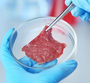 Cultured meat