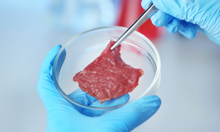 Cultured meat