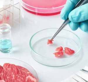 Study finds myoglobin enhances cultured meat growth, colour and texture