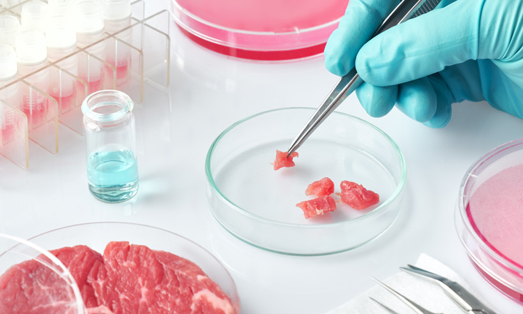 Study finds myoglobin enhances cultured meat growth, colour and texture