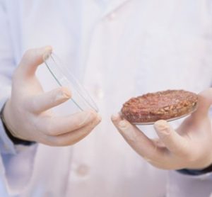 cultured meat