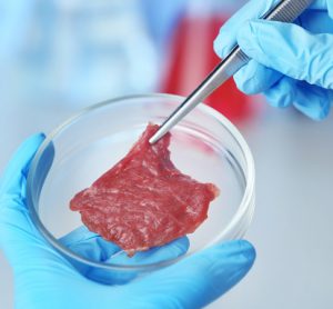Meat and seafood cell lines catalogue to be made available for scientists