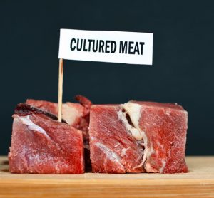 top 5 cultured meat companies