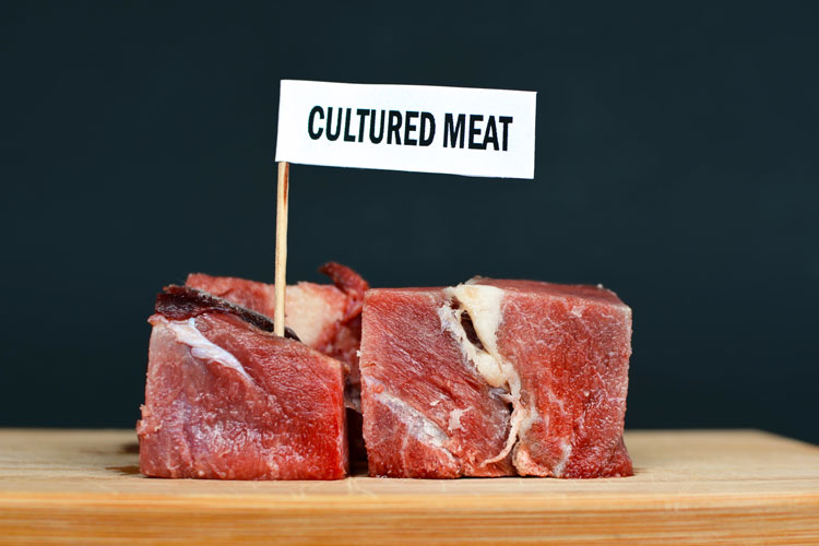 top 5 cultured meat companies