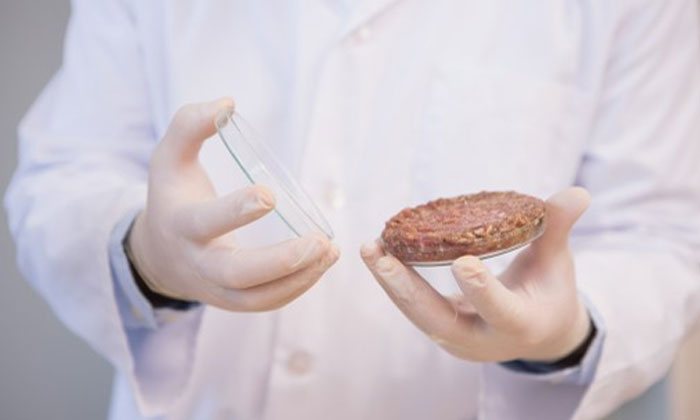 cultured meat