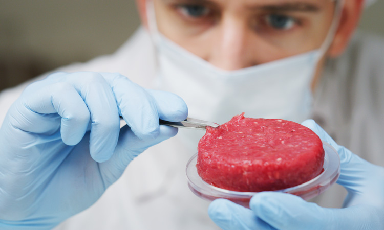 Acceptance of cultured meat increases with sufficient information, says study