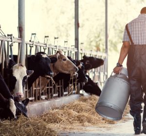 UK Dairy Roadmap joins global sustainability initiative