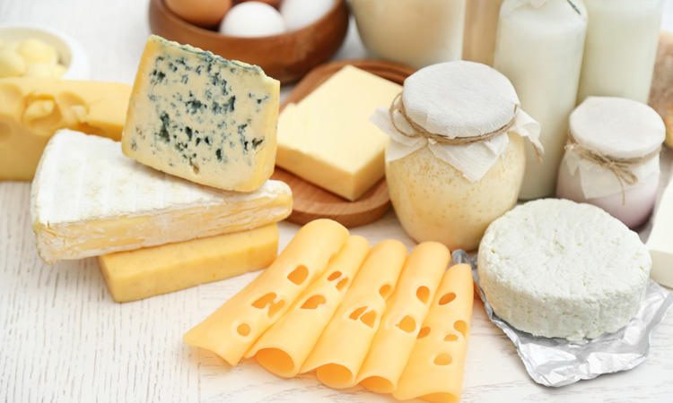 European dairy industry calls for "pragmatism" in Brexit negotiations