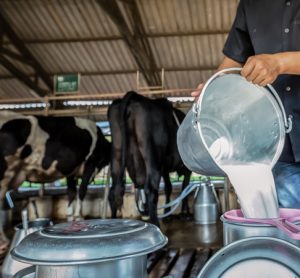UK-wide consultation into dairy sector contracts comes to an end