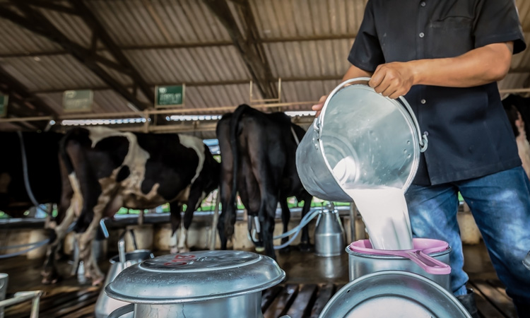 UK-wide consultation into dairy sector contracts comes to an end