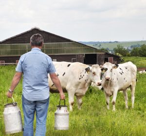 Dairy’s possible renaissance