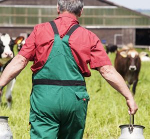 UK dairy industry to join forces to manage milk supply during epidemic