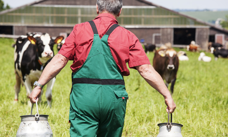 UK dairy industry to join forces to manage milk supply during epidemic