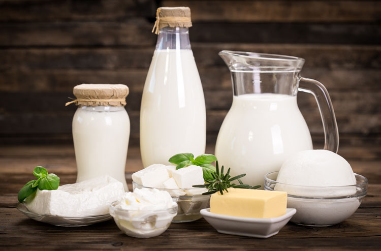 selection of dairy products