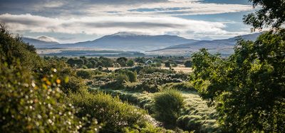 Diageo invests £5m in Scotland peatland restoration as part of sustainable whisky production project