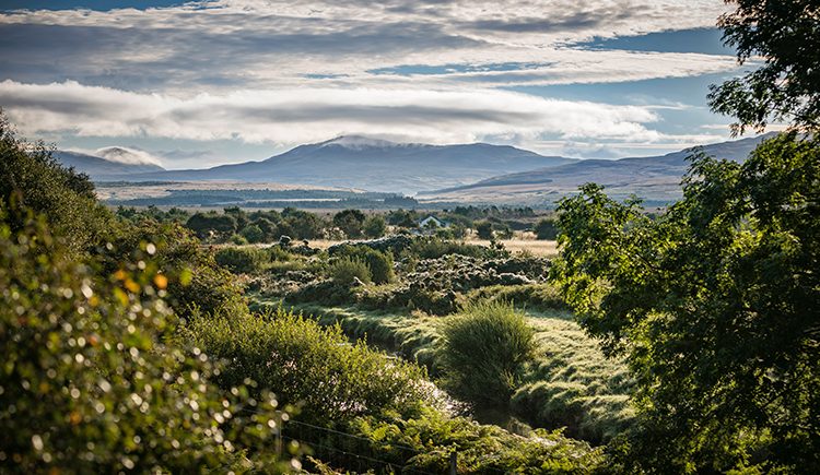 Diageo invests £5m in Scotland peatland restoration as part of sustainable whisky production project