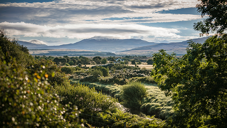 Diageo invests £5m in Scotland peatland restoration as part of sustainable whisky production project
