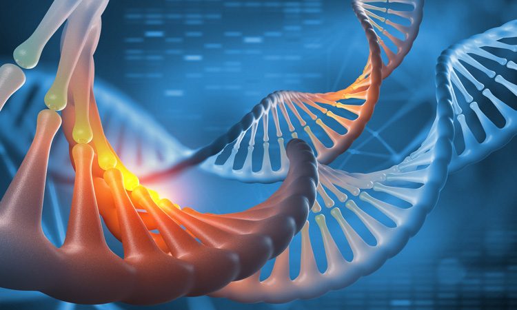Whole genome sequencing could help control disease