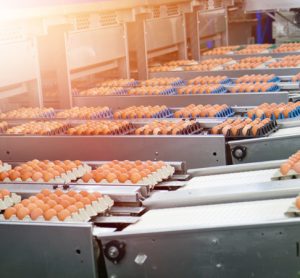 Study suggests egg-industry-funded research downplays danger of cholesterol
