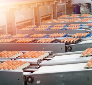 USDA modernises egg products inspection methods