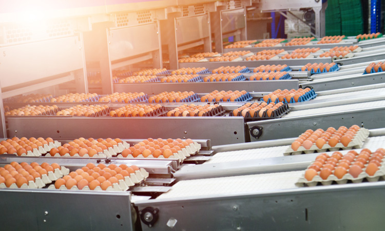 USDA modernises egg products inspection methods