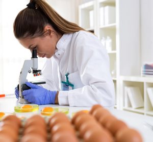 Researchers find solution to prevent salmonellosis in raw eggs