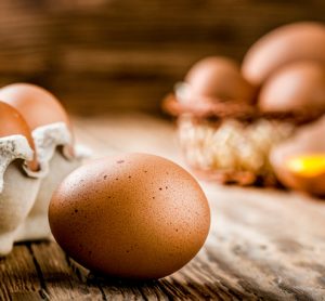 eggs high in choline