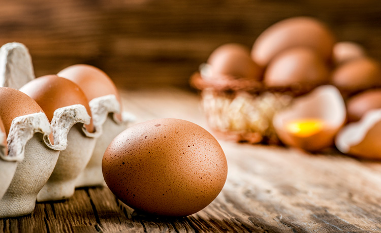 eggs high in choline