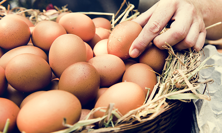 eggs shot up in price after a bird flu outbreak 