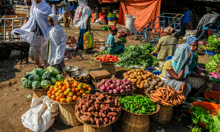 Study investigates link between child health and Ethiopian rural markets