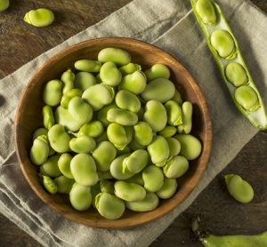 Raw Organic Fresh Green Fava Beans in a bowl